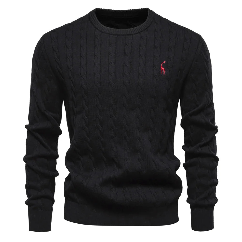 Rogier™ | Classy Men's Sweater