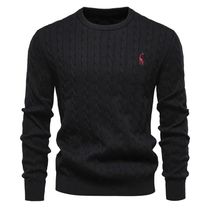 Rogier™ | Classy Men's Sweater