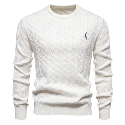 Rogier™ | Classy Men's Sweater